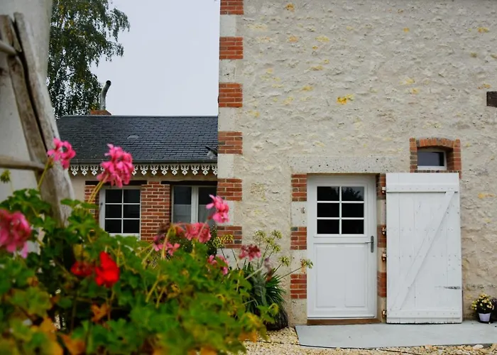 Gite Des Ouches - Piscine